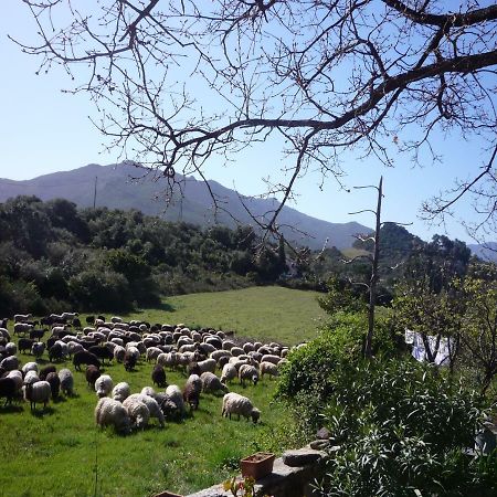 A Camera Di A Vigna Casta Luaran gambar
