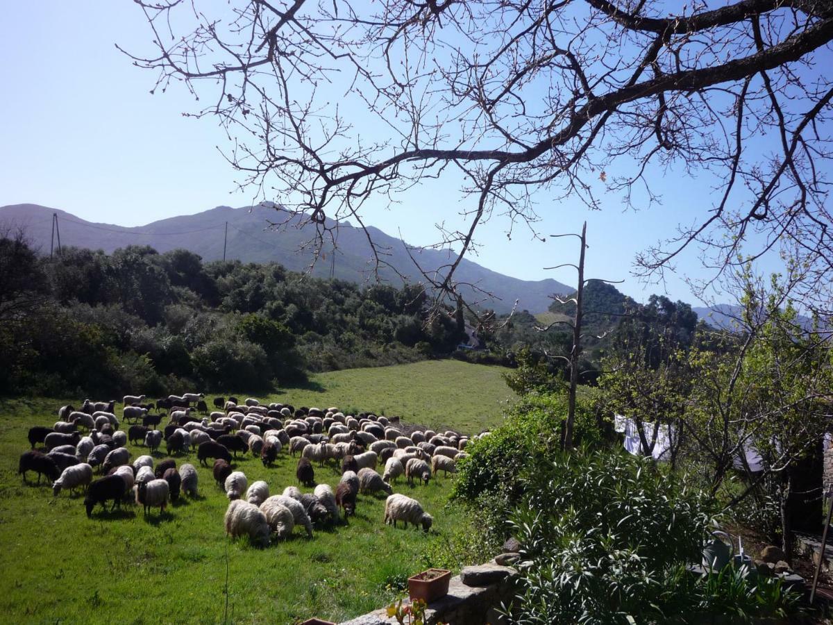 A Camera Di A Vigna Casta Luaran gambar